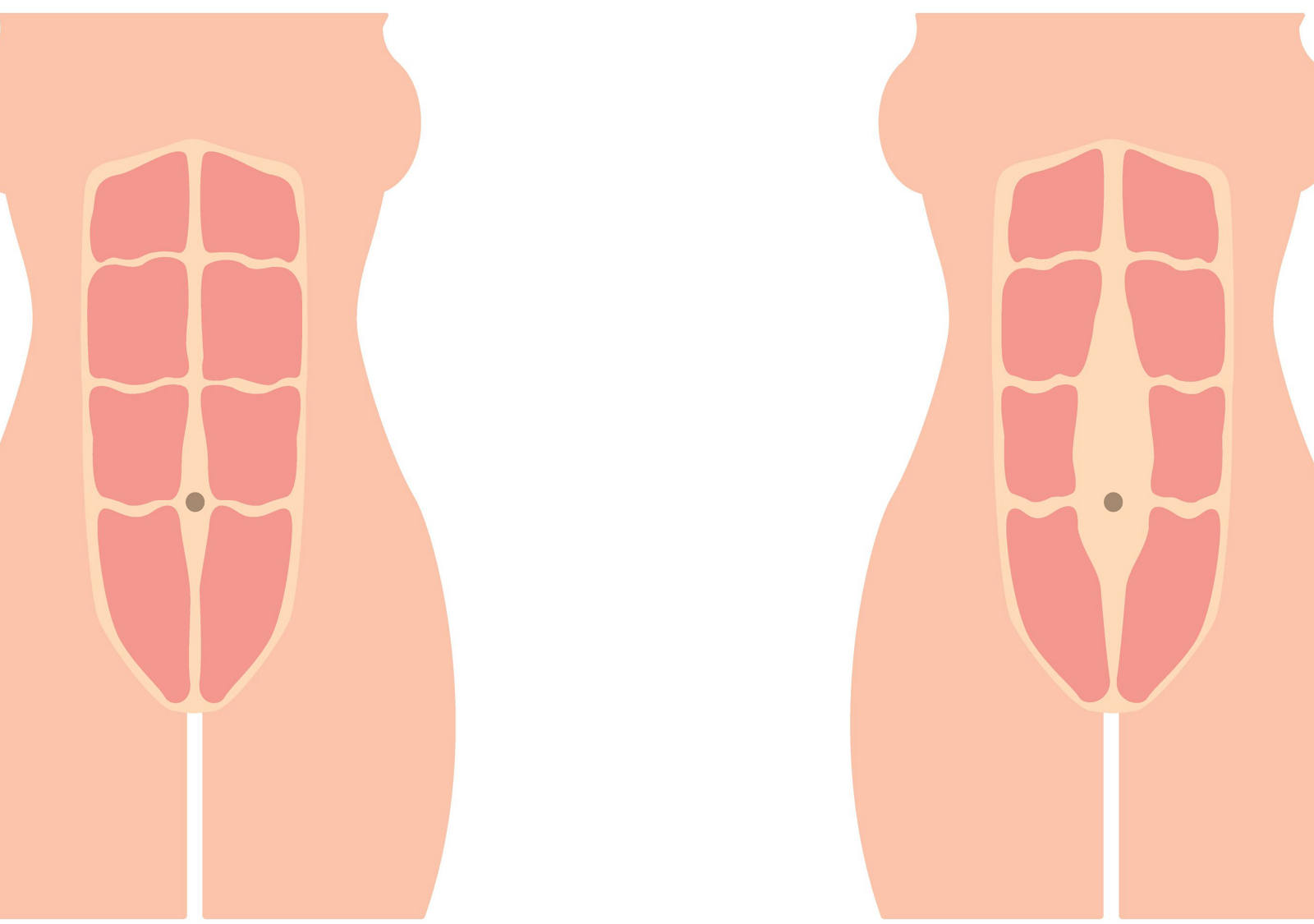 Muscolatura addominale prima, durante e dopo la gravidanza