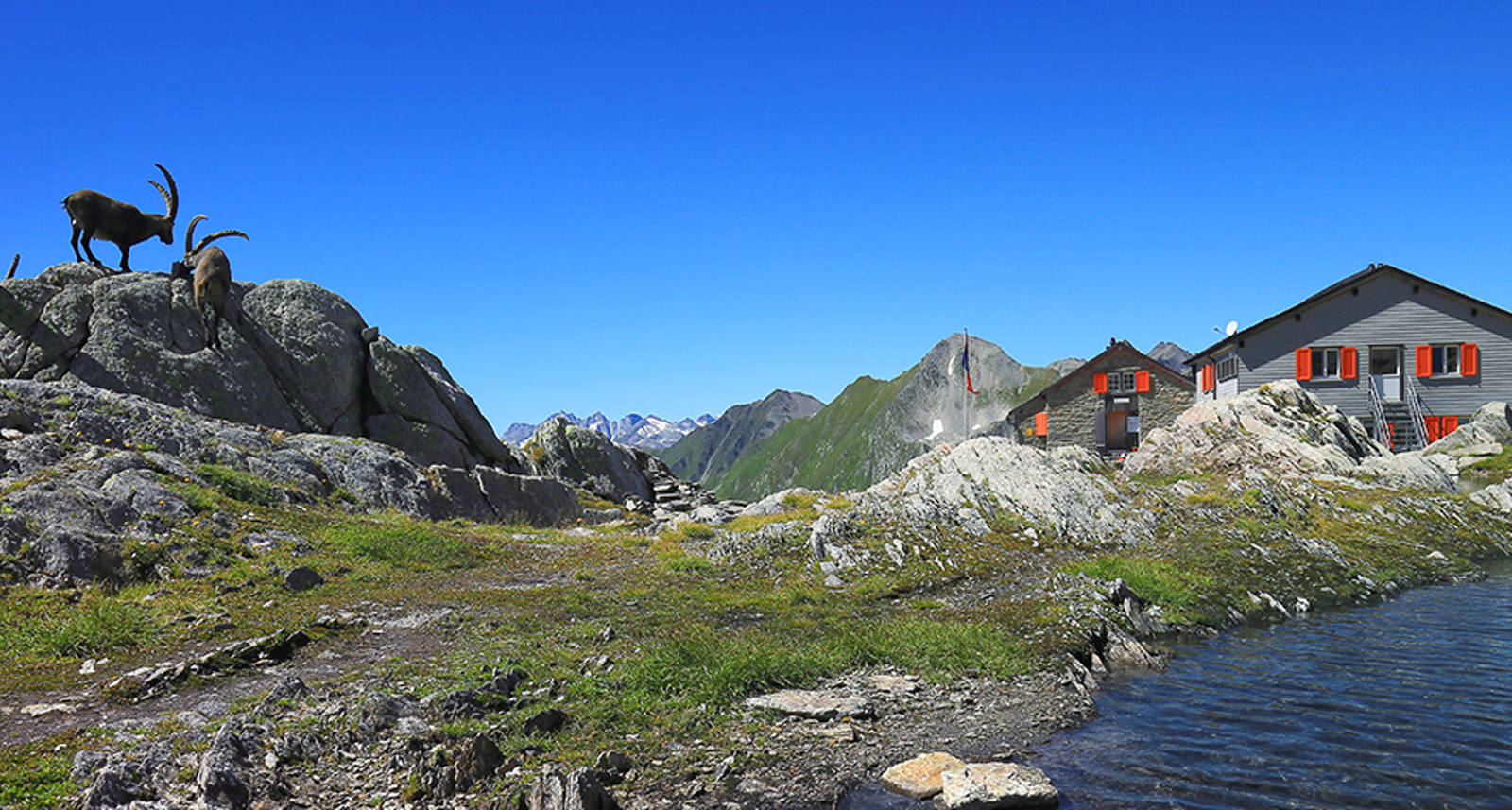 Idée rando en Suisse: Cadlimo et son lac alpin