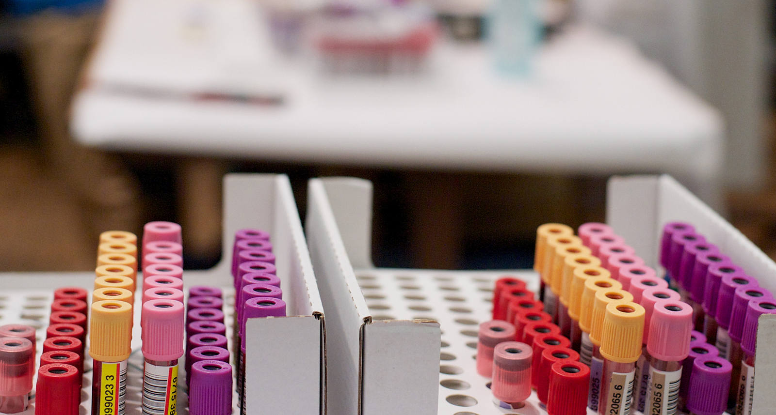 Welche verschiedenen Blutgruppen es gibt