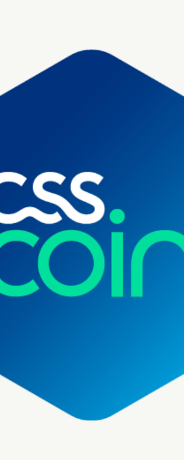 CSS Coin Logo