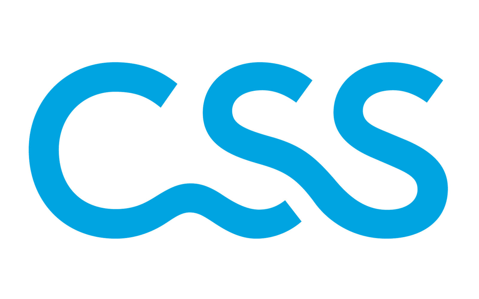 Css Logo Png