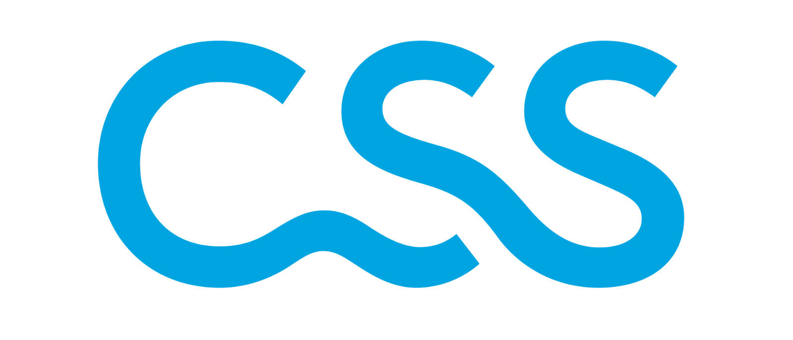 css-logo-schutzzone-large.png