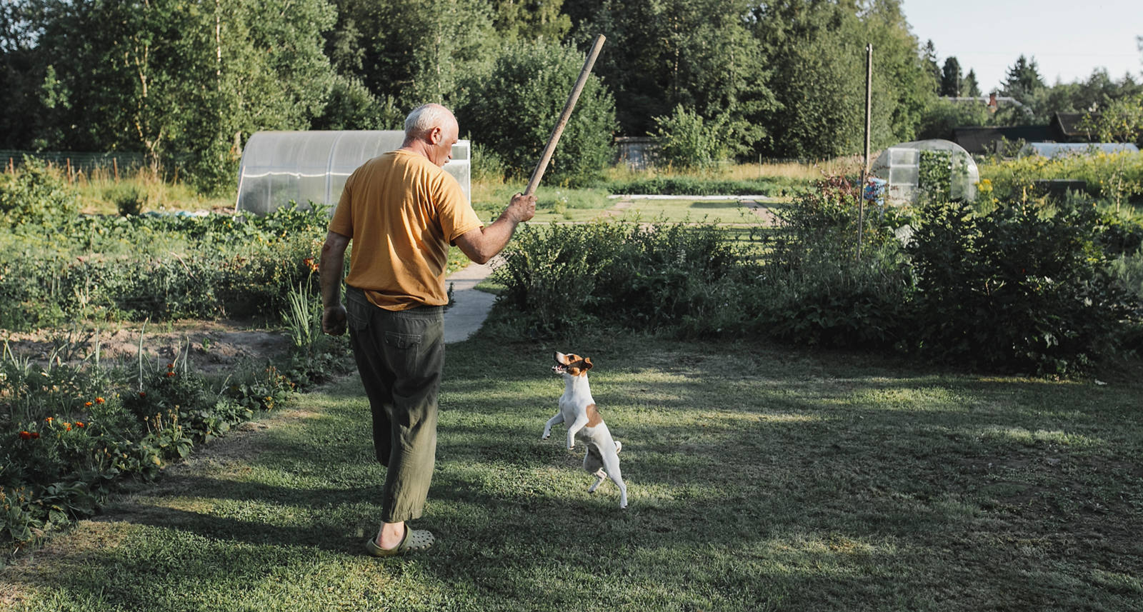 Demenz vorbeugen: Geht das?