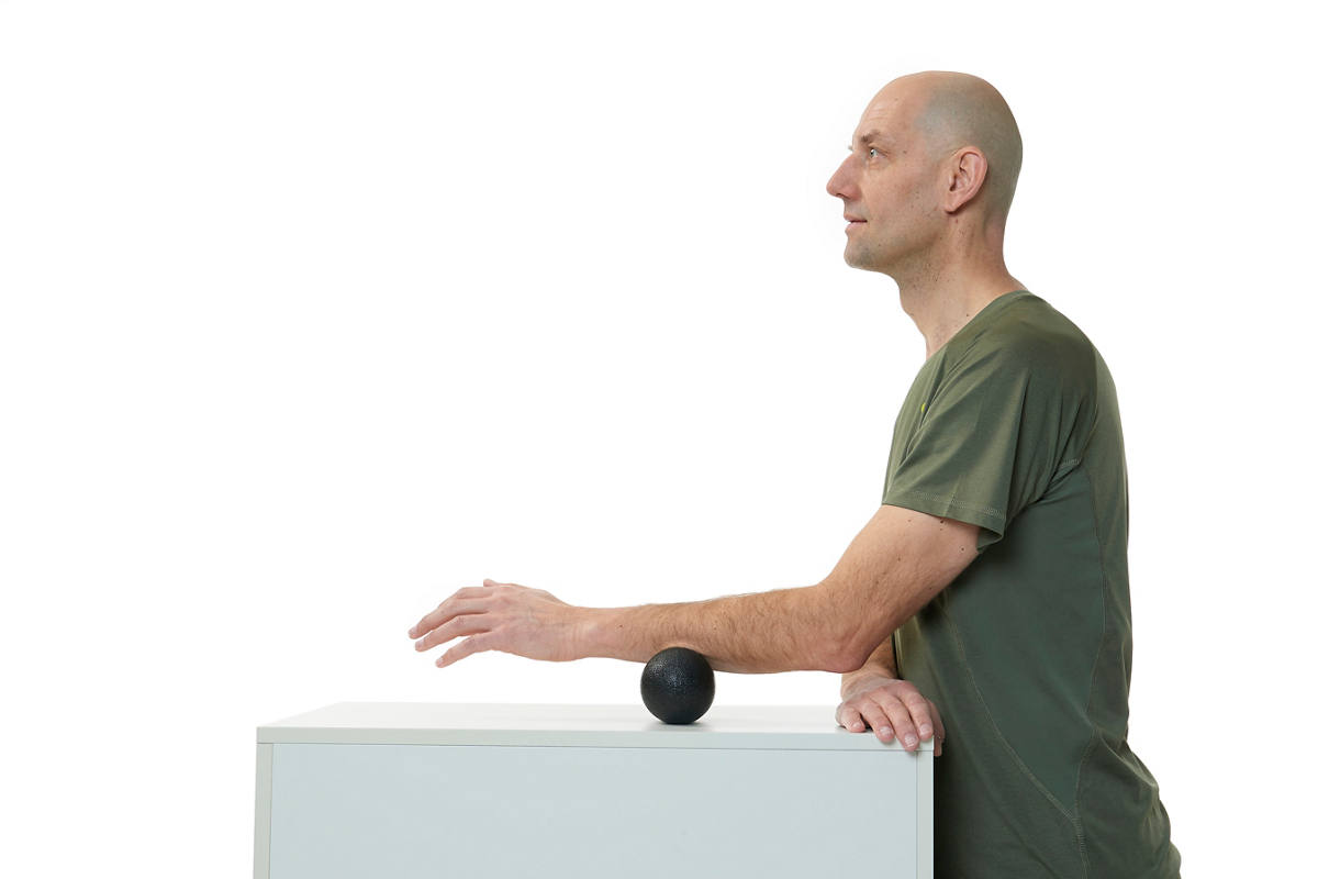 Esercizio 3: avambraccio