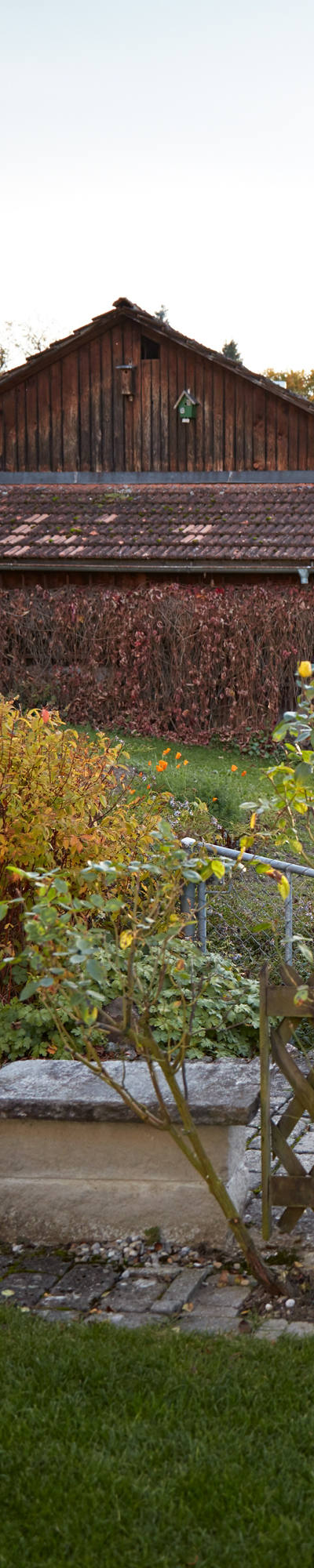Frau giesst Blumen rund um ihr Haus