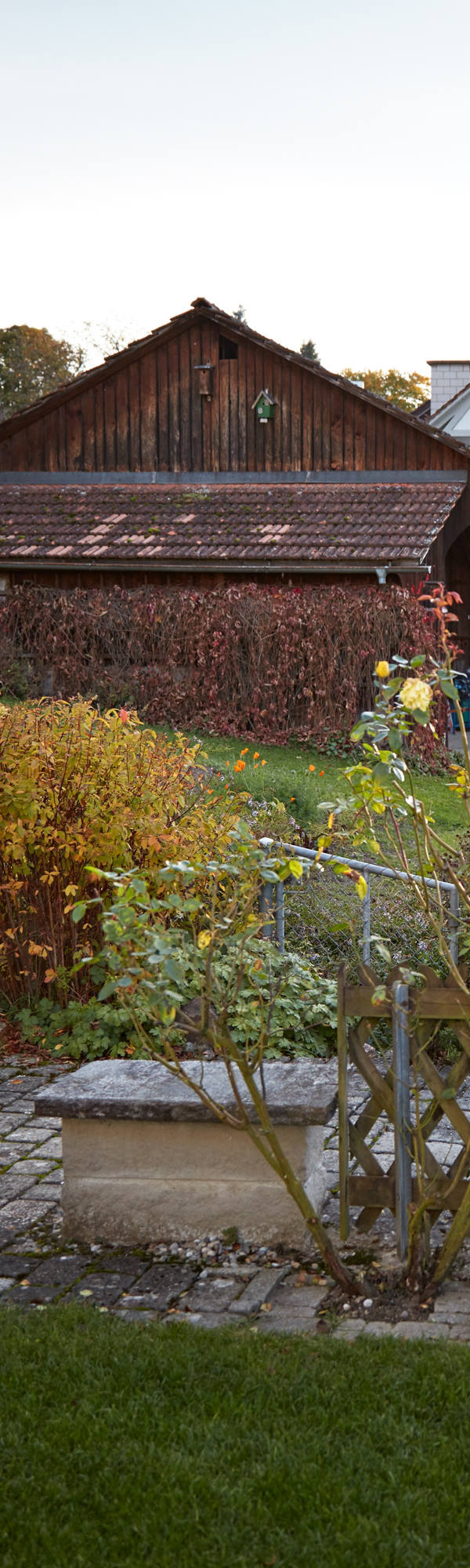 Femme verse des fleurs autour de sa maison