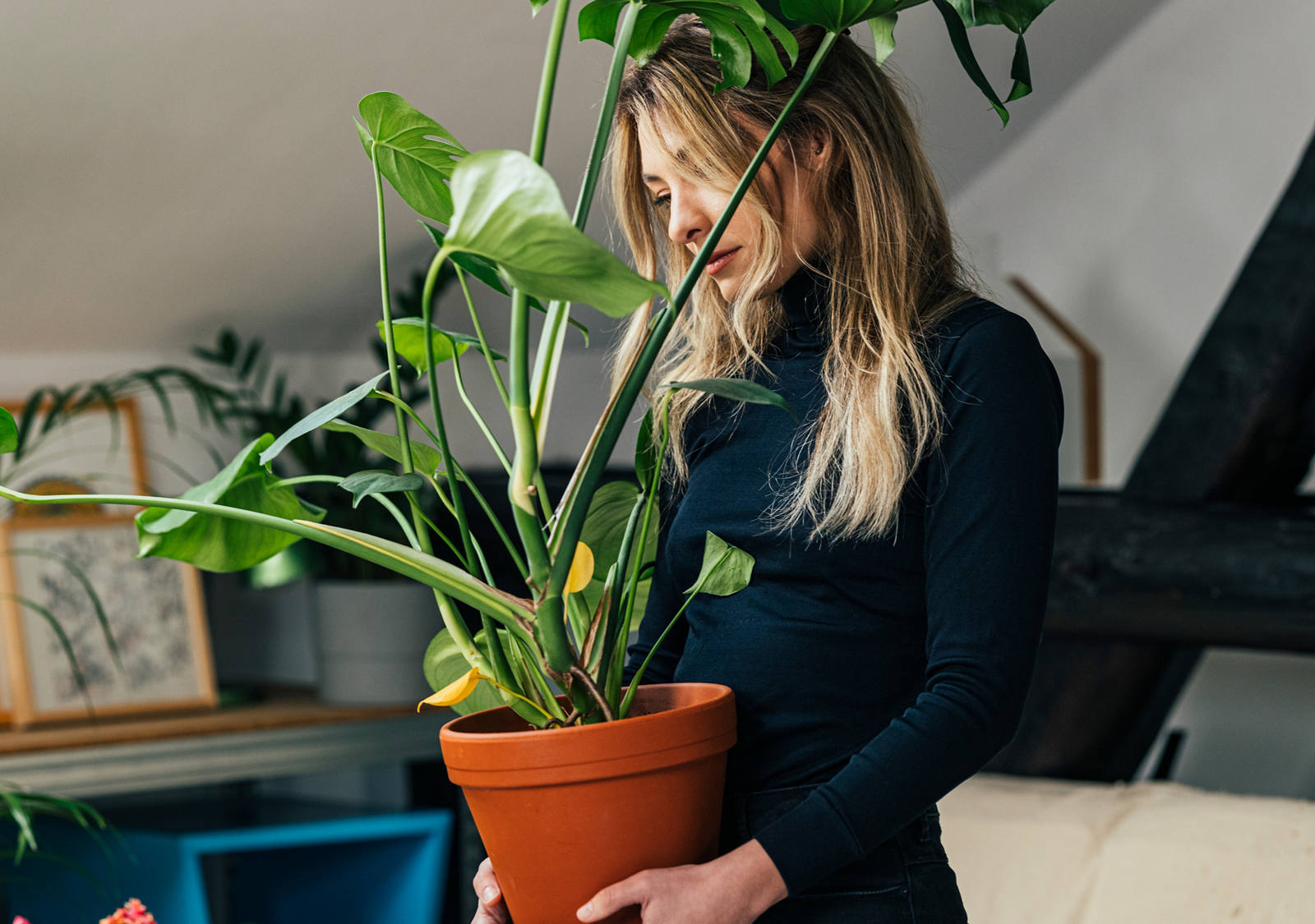 Young woman carrying Monstera plant in attic apartment.