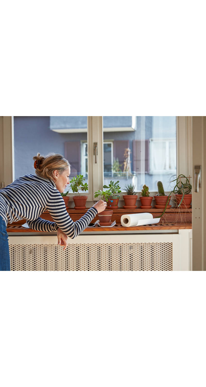 Woman cares for her plants standing on the window ledge.