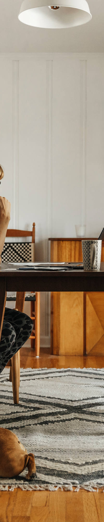 Frau sitzt am Tisch im Wohnzimmer und studiert den Laptop. Ein Hund schläft zu ihren Füssen.