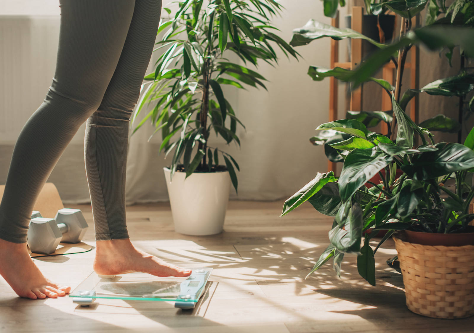 In a room with lots of plants, a woman stands on a bathroom scale.