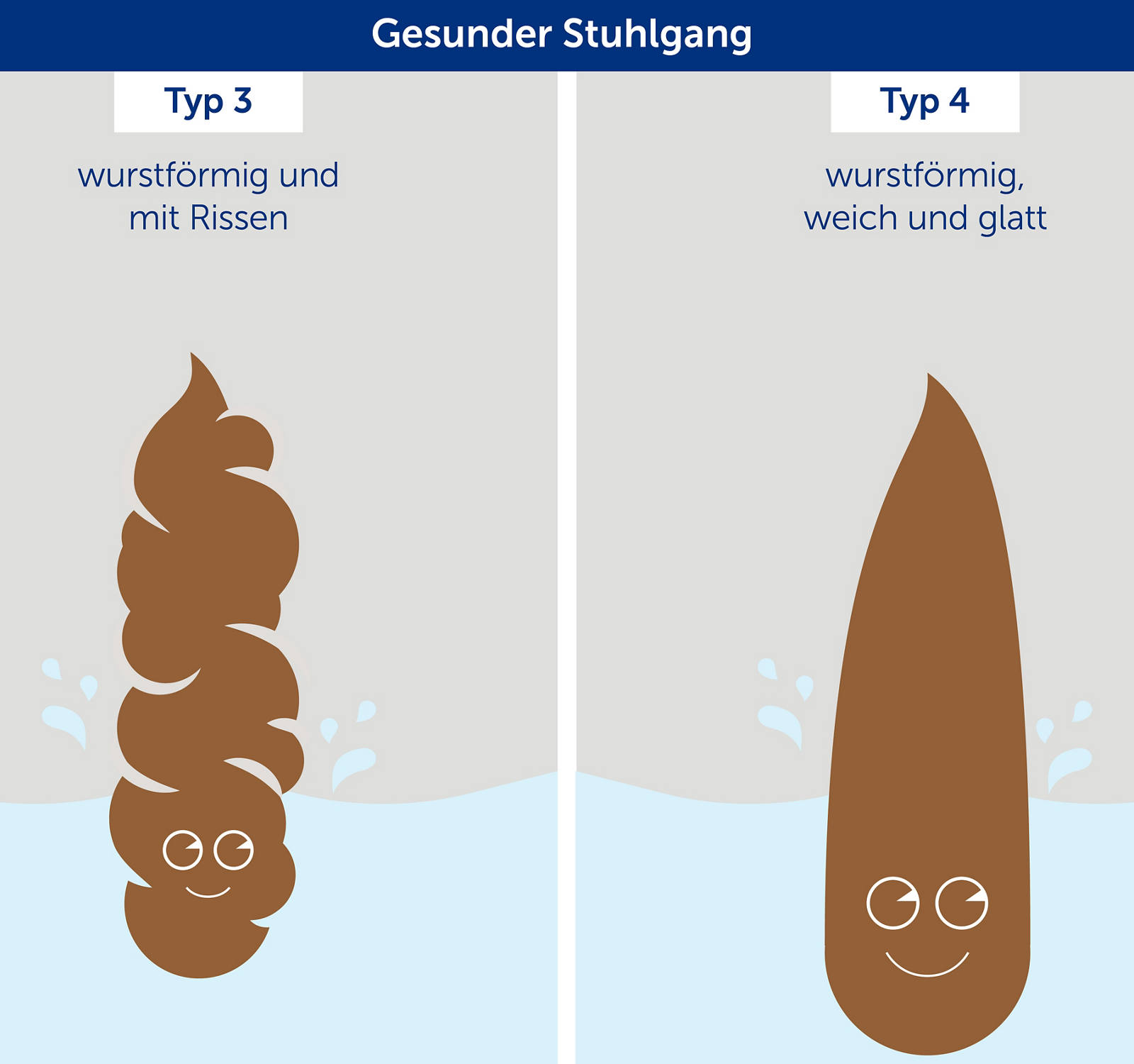 Typ 3-4: Illustration von gesundem Stuhlgang