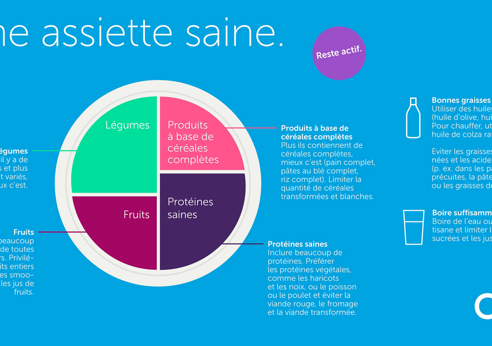 Assiette santé: part de légumes, fruits, céréales complètes, protéines saines