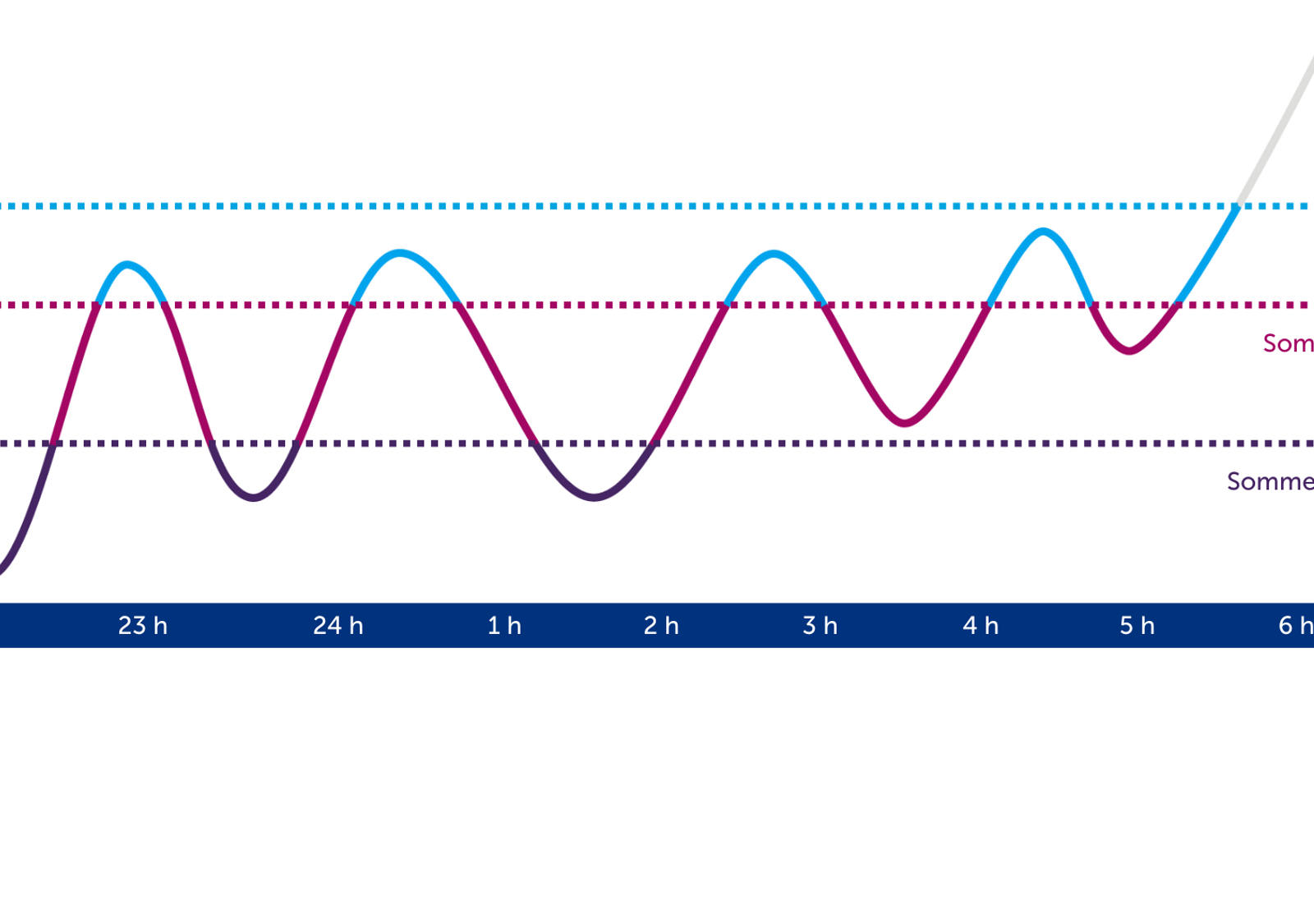 Illustration des phases du sommeil sur une nuit entière