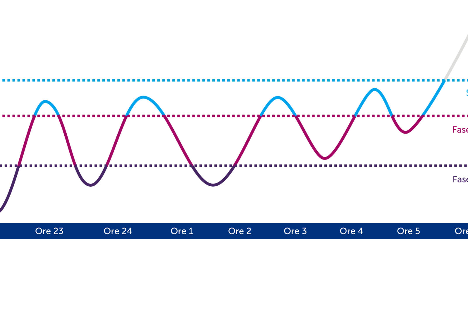 Infografica delle fasi del sonno durante un’intera notte