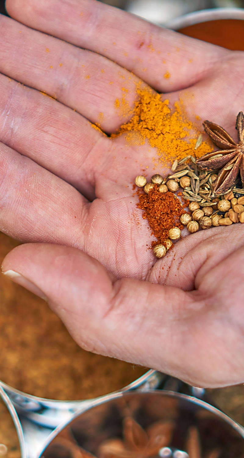 Eine Hand hält bunte Gewürze aus der Ayurveda