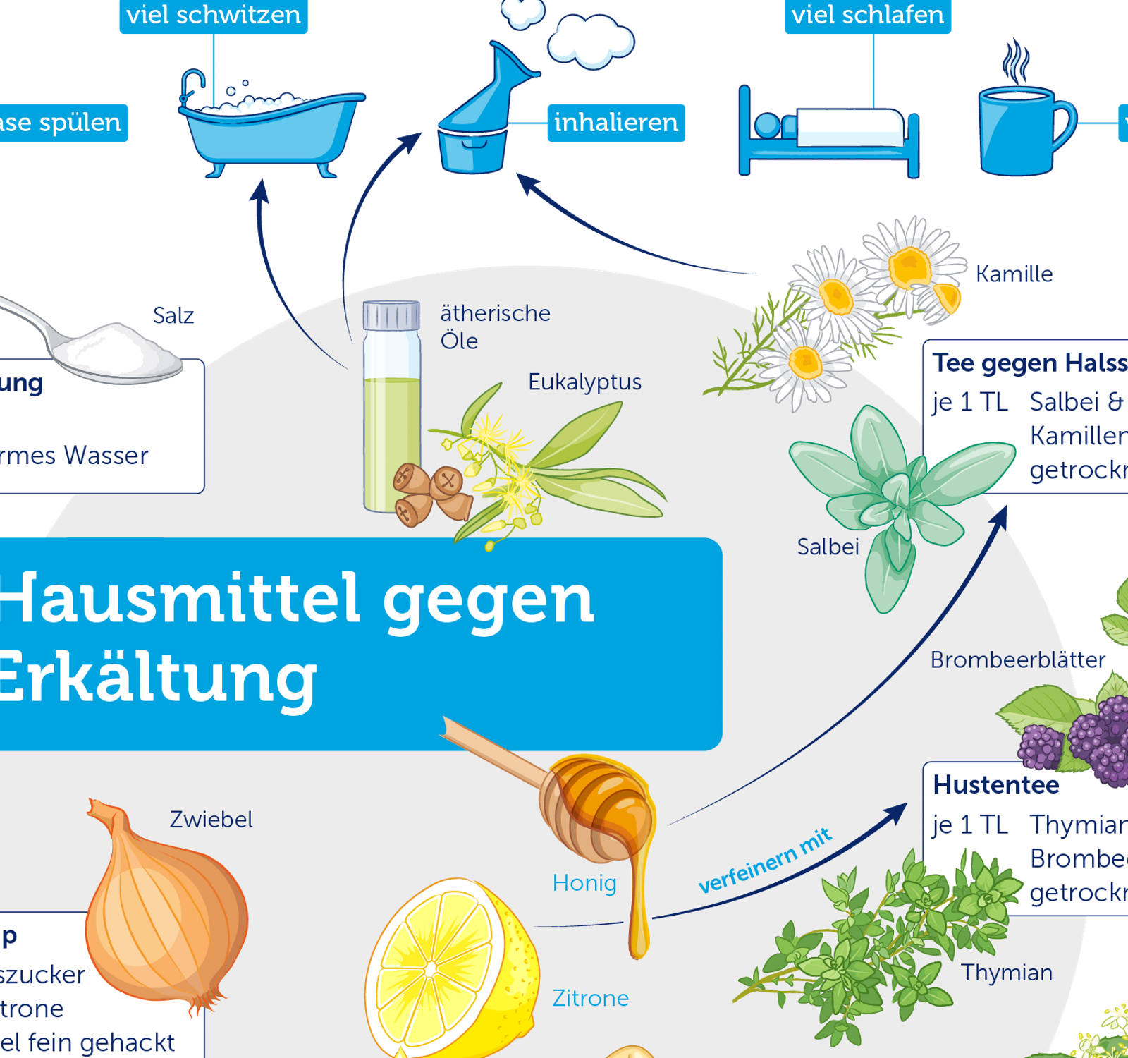 Hausmittel gegen Erkältung auf einen Blick