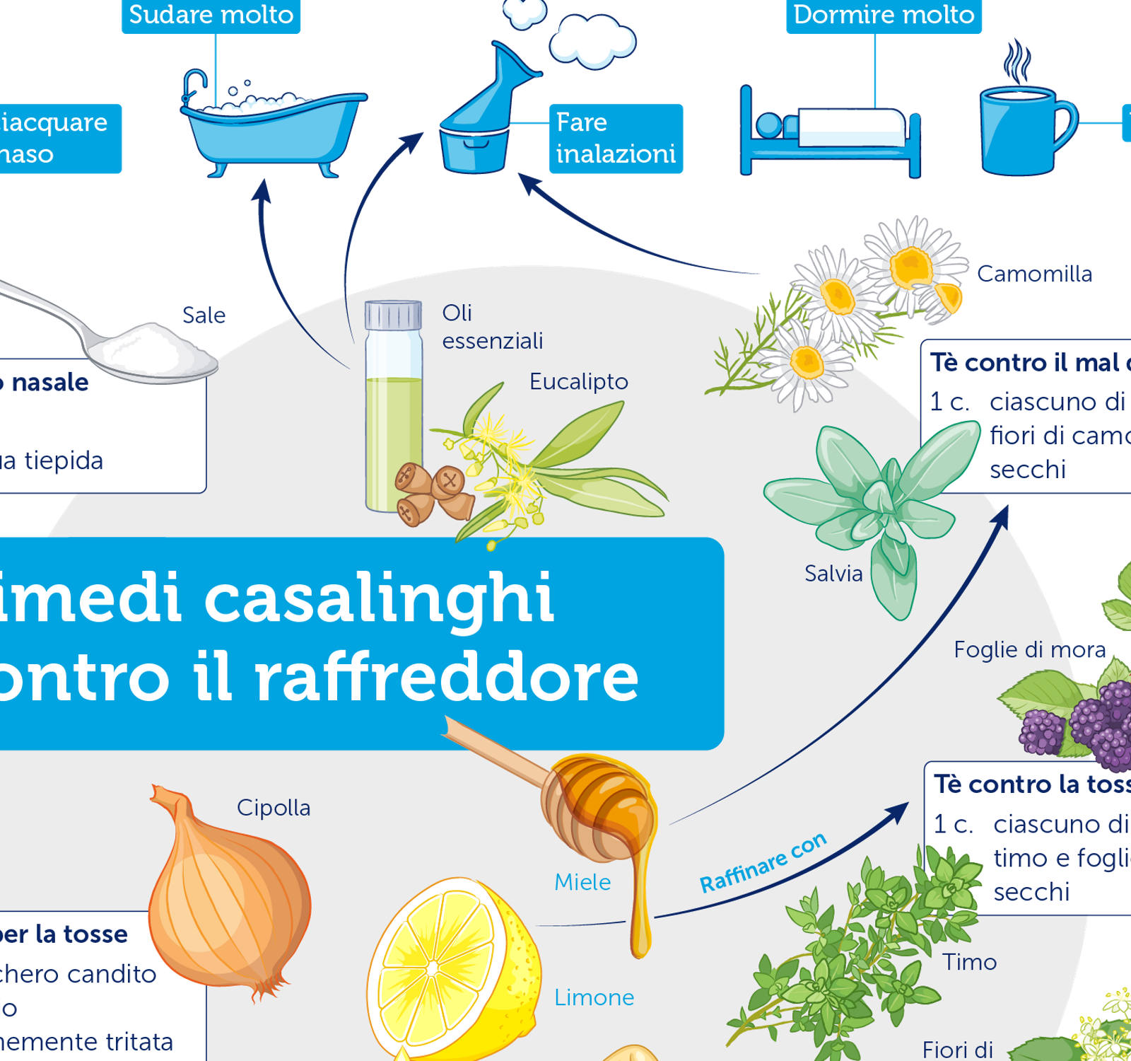 Infografica Rimedi casalinghi contro il raffreddore