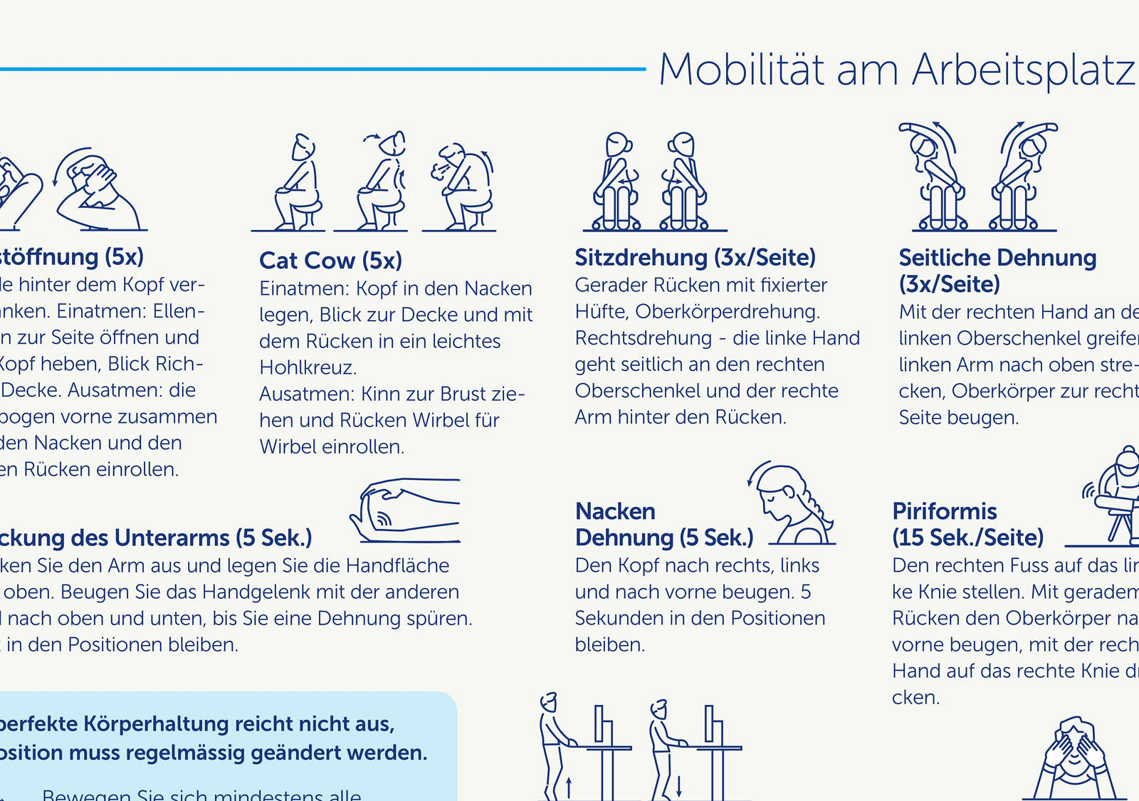 Auszug aus Infografik Ergonomie am Arbeitsplatz