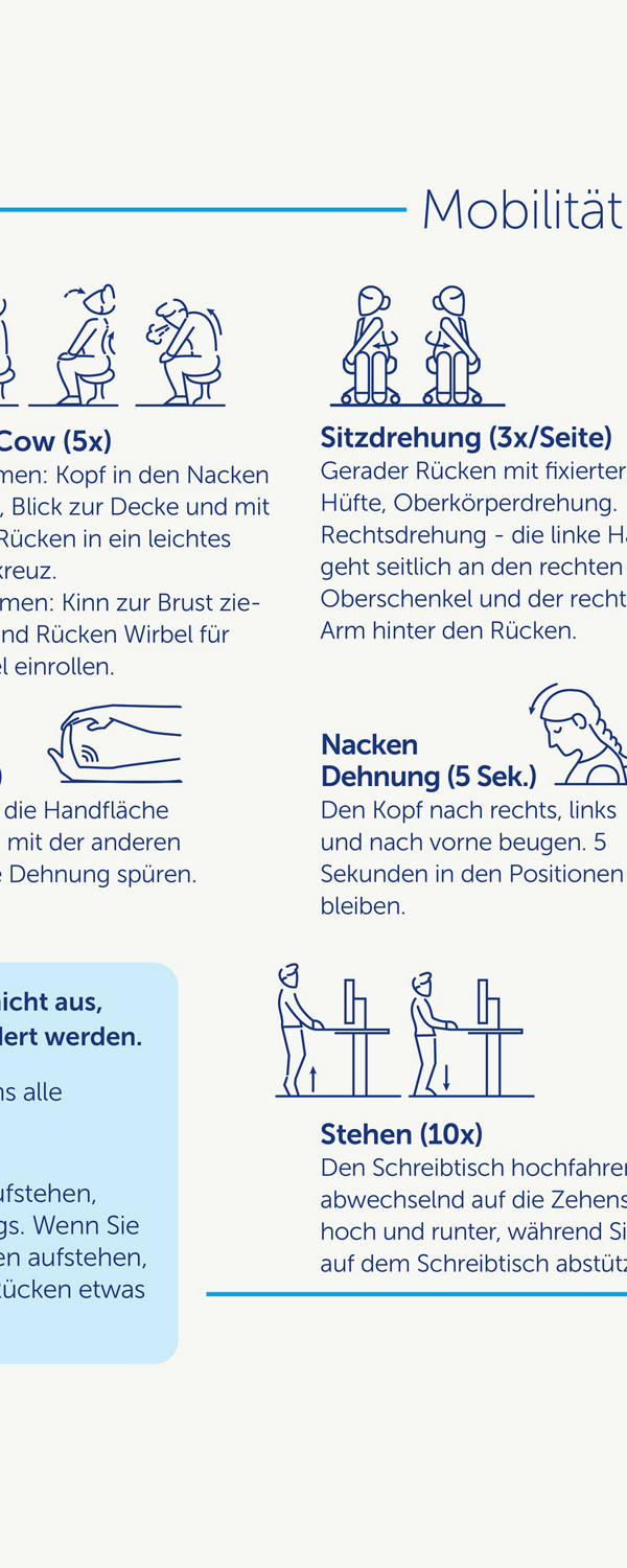 Auszug aus Infografik Ergonomie am Arbeitsplatz