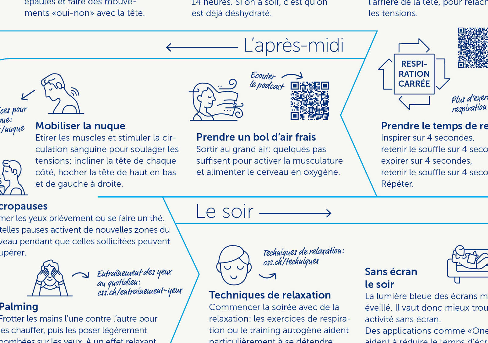 Extrait du graphique de la tête et de la nuque