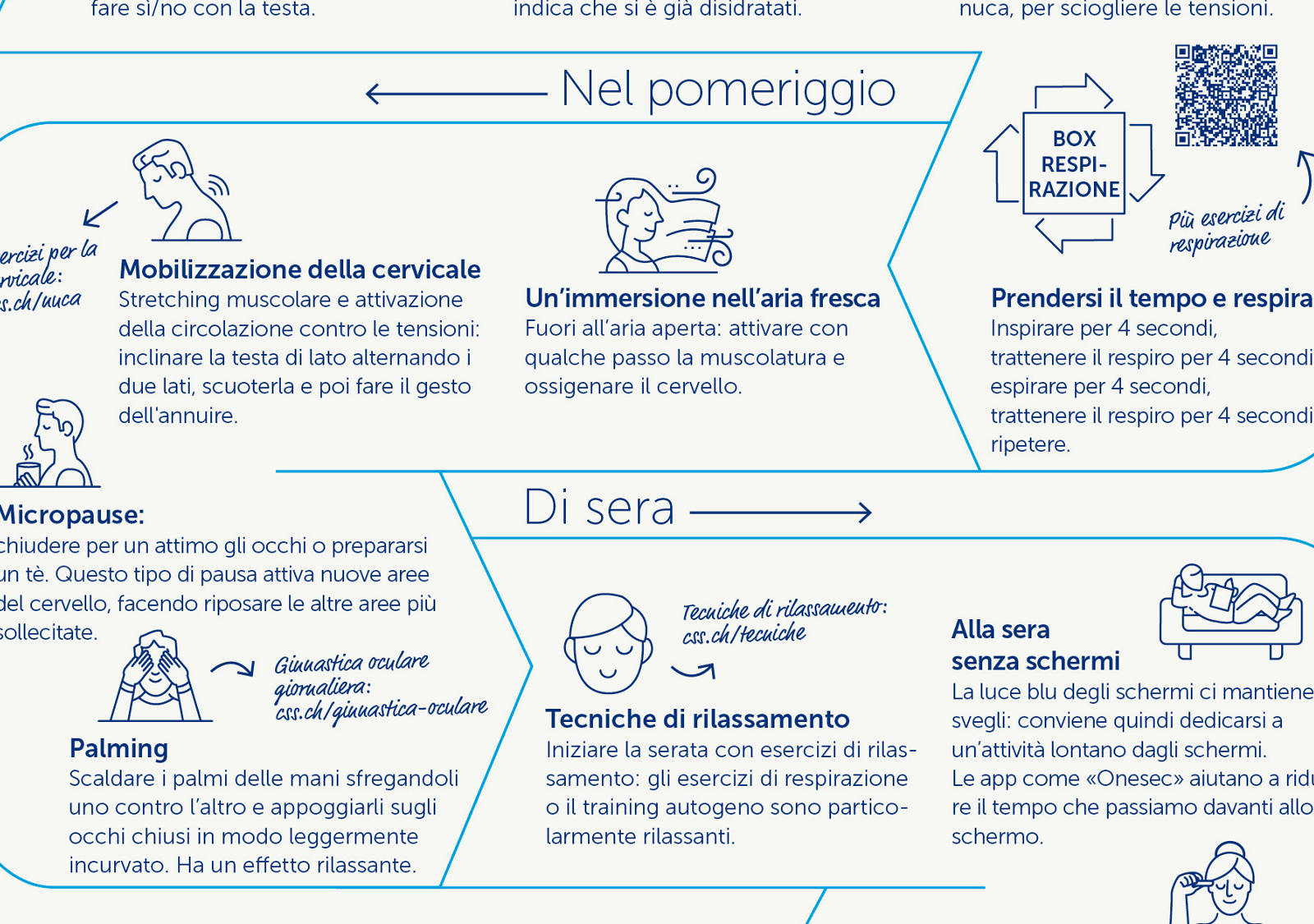 Rendiconto Infografica testa e nuca