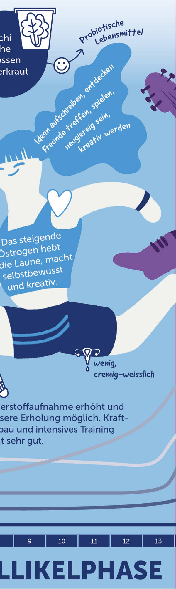 Auszug aus Infografik Zyklusphasen