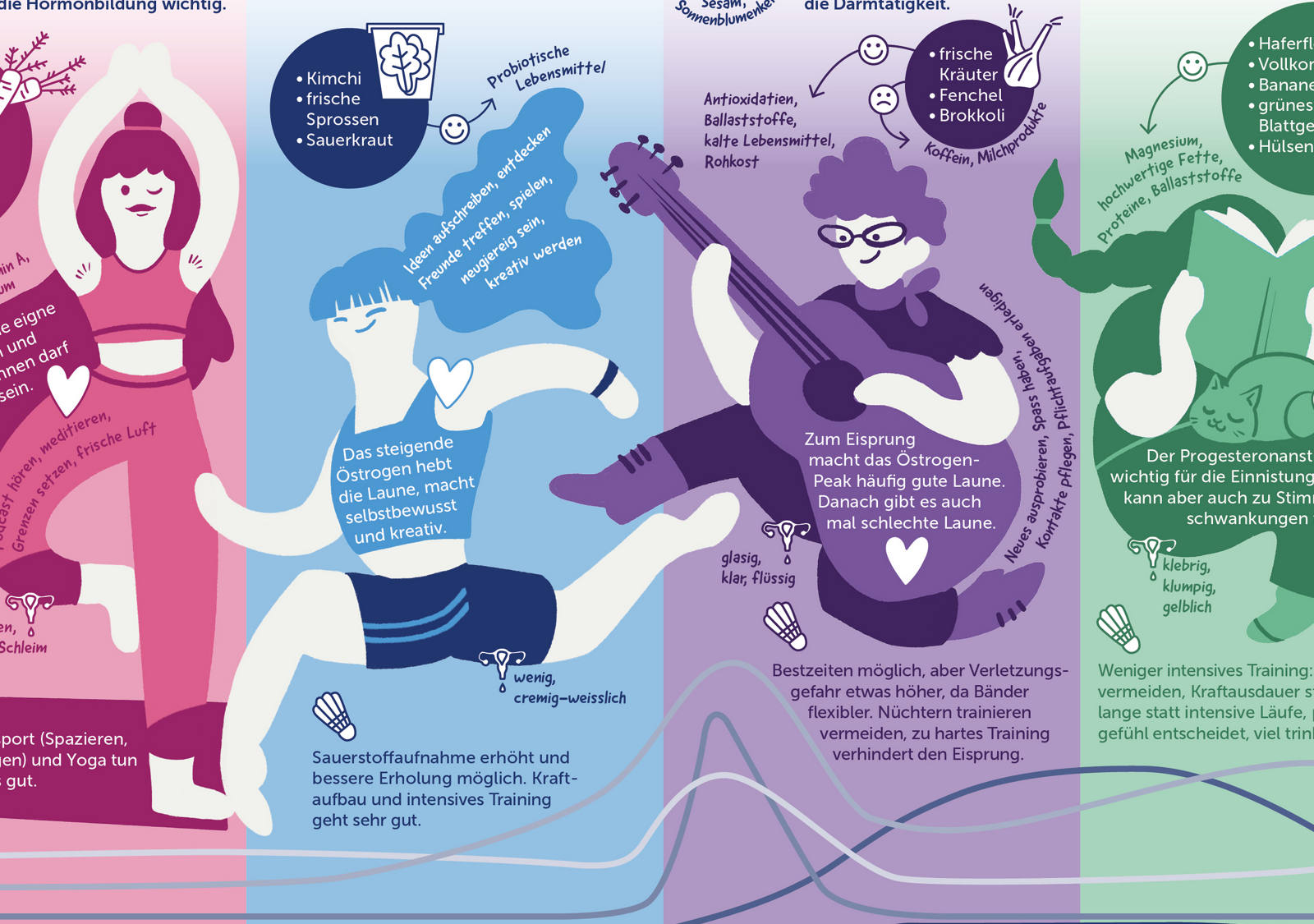 infografik-menstruations-zyklus-de.jpg