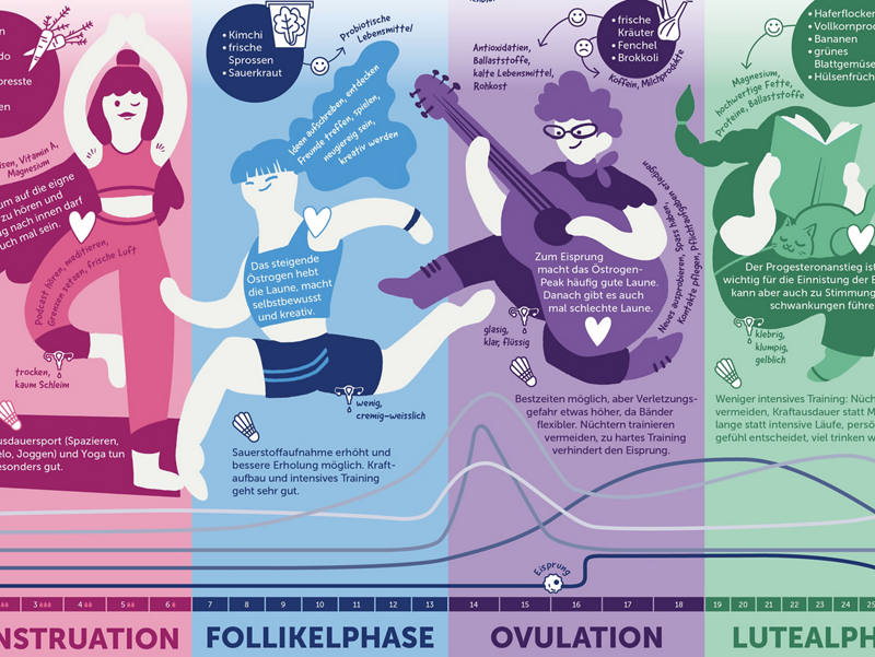 infografik-menstruations-zyklus-de.jpg