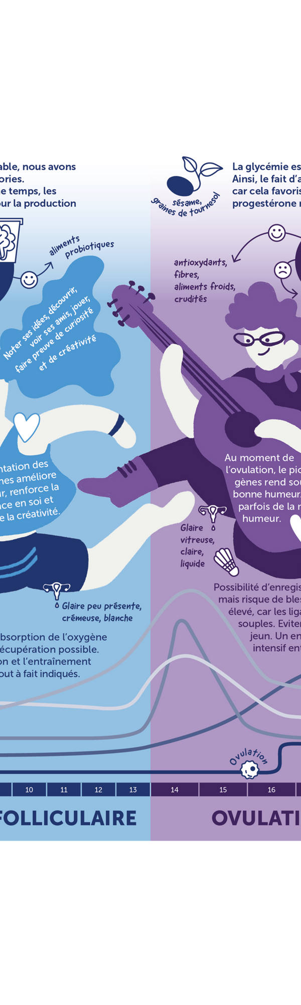 Extrait du graphique des phases du cycle