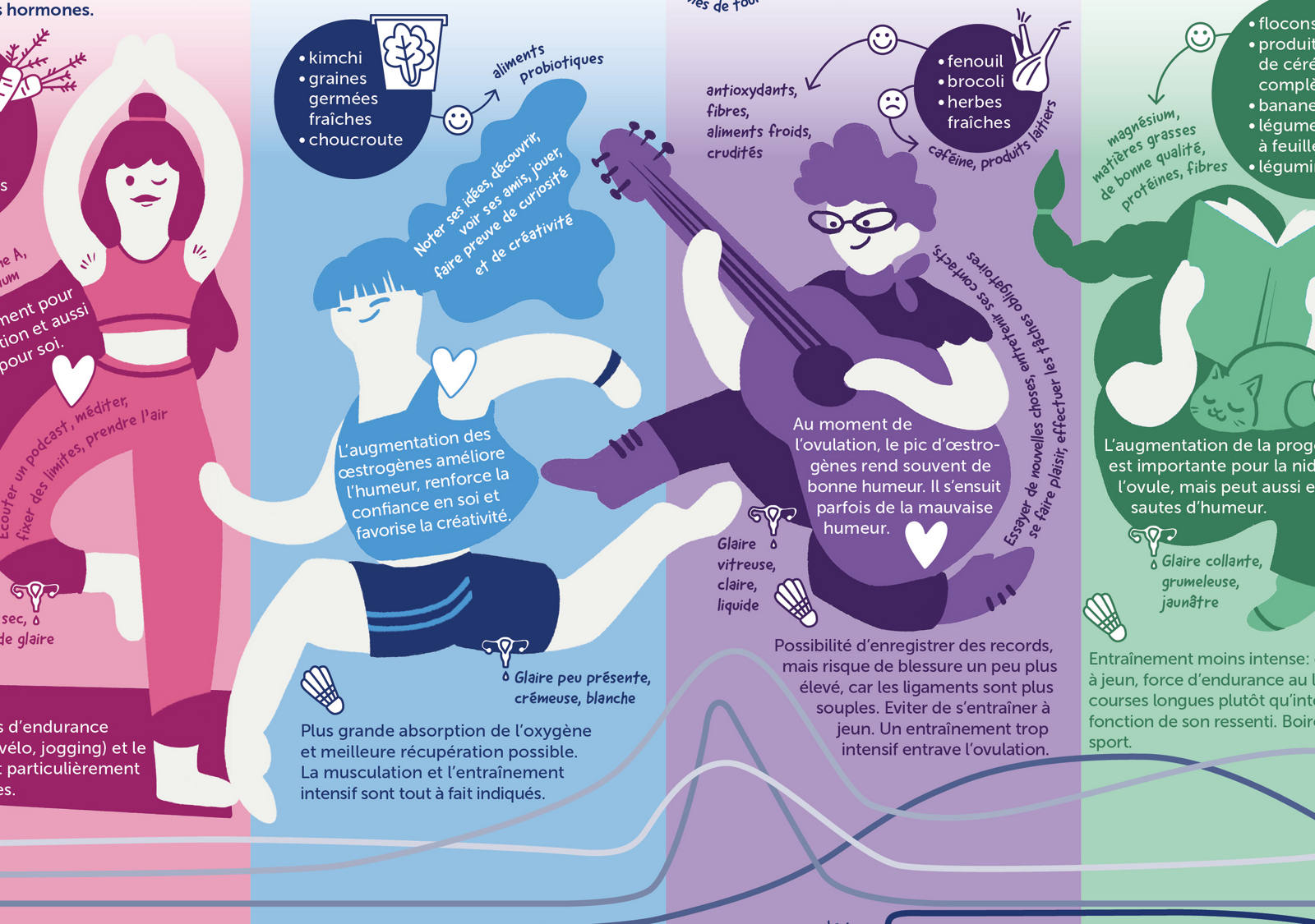 Extrait du graphique des phases du cycle
