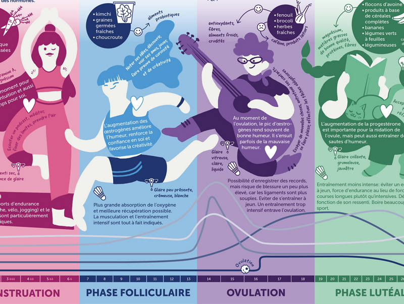 infografik-menstruations-zyklus-fr.jpg