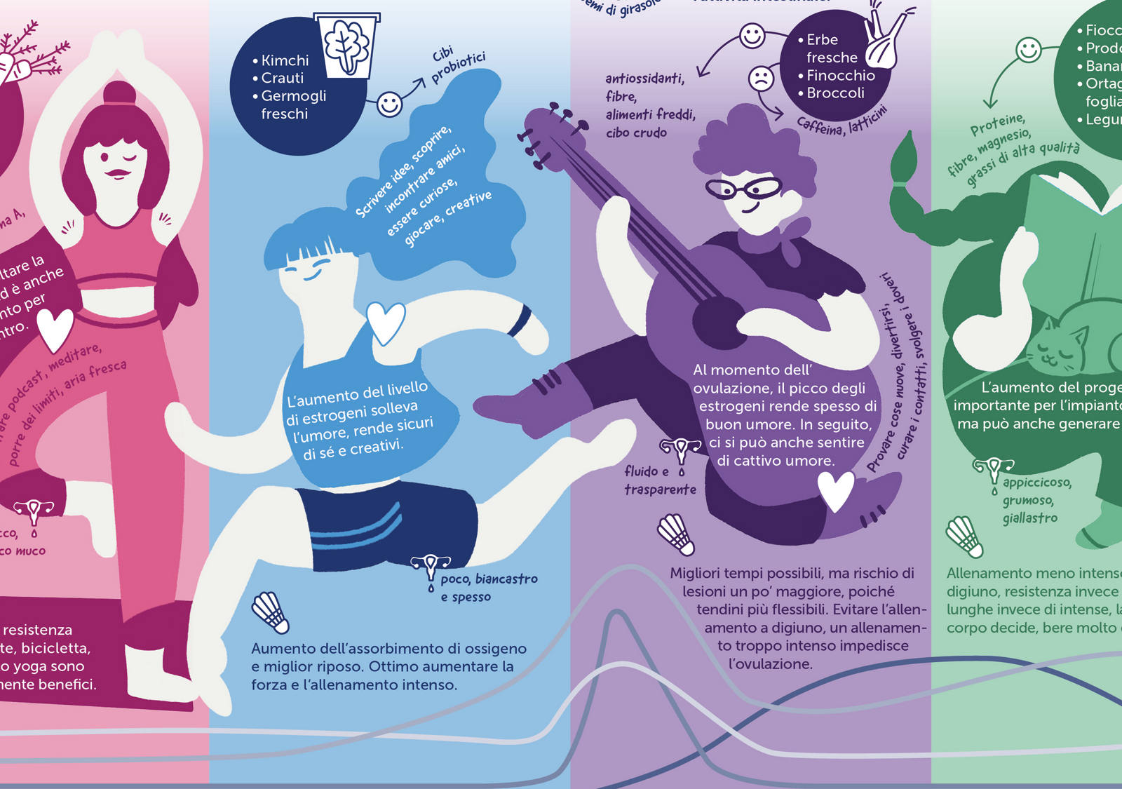Rendiconto da infografica sulle fasi del ciclo