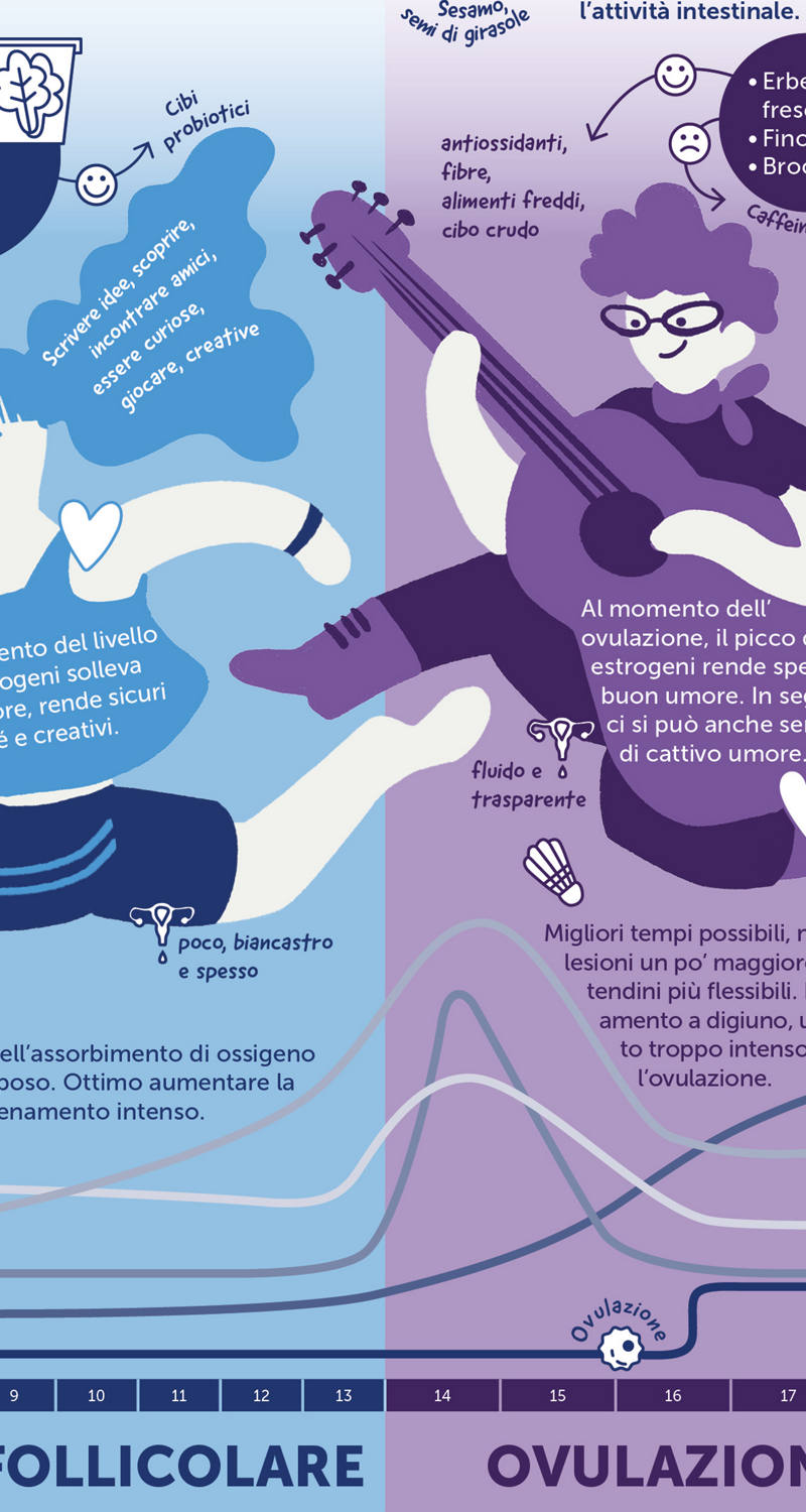 Rendiconto da infografica sulle fasi del ciclo