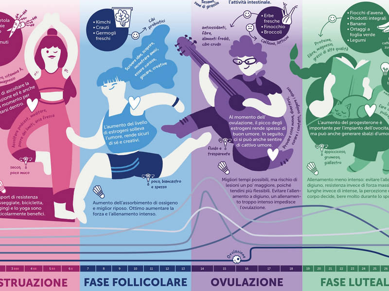 infografik-menstruations-zyklus-it.jpg