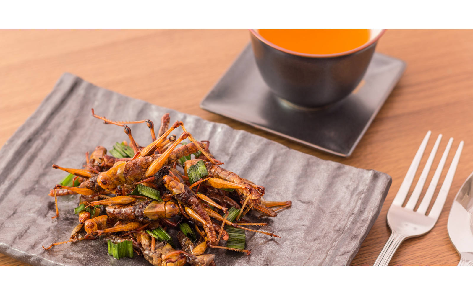Eating insects: the health benefits of mealworms and the like