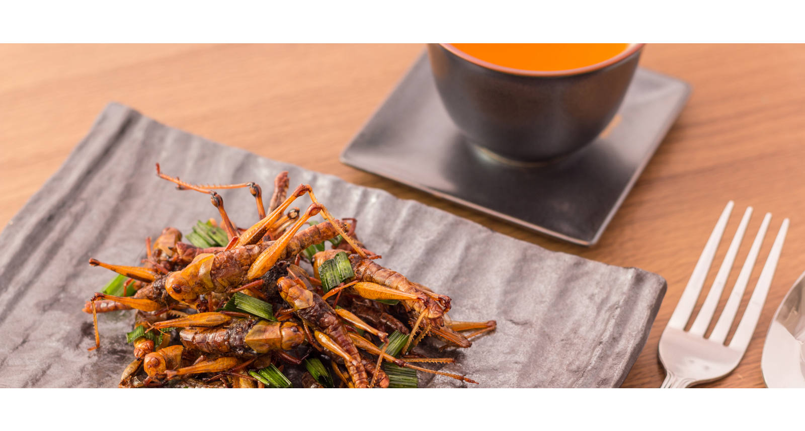 Manger des insectes: leurs apports nutritionnels