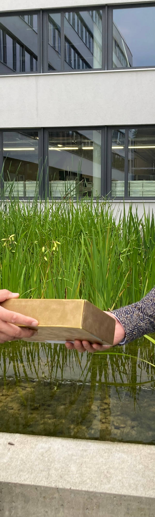 CSS Kickbox: Übergabe der Goldbox von Michael Rieger an Manuel Sanchez