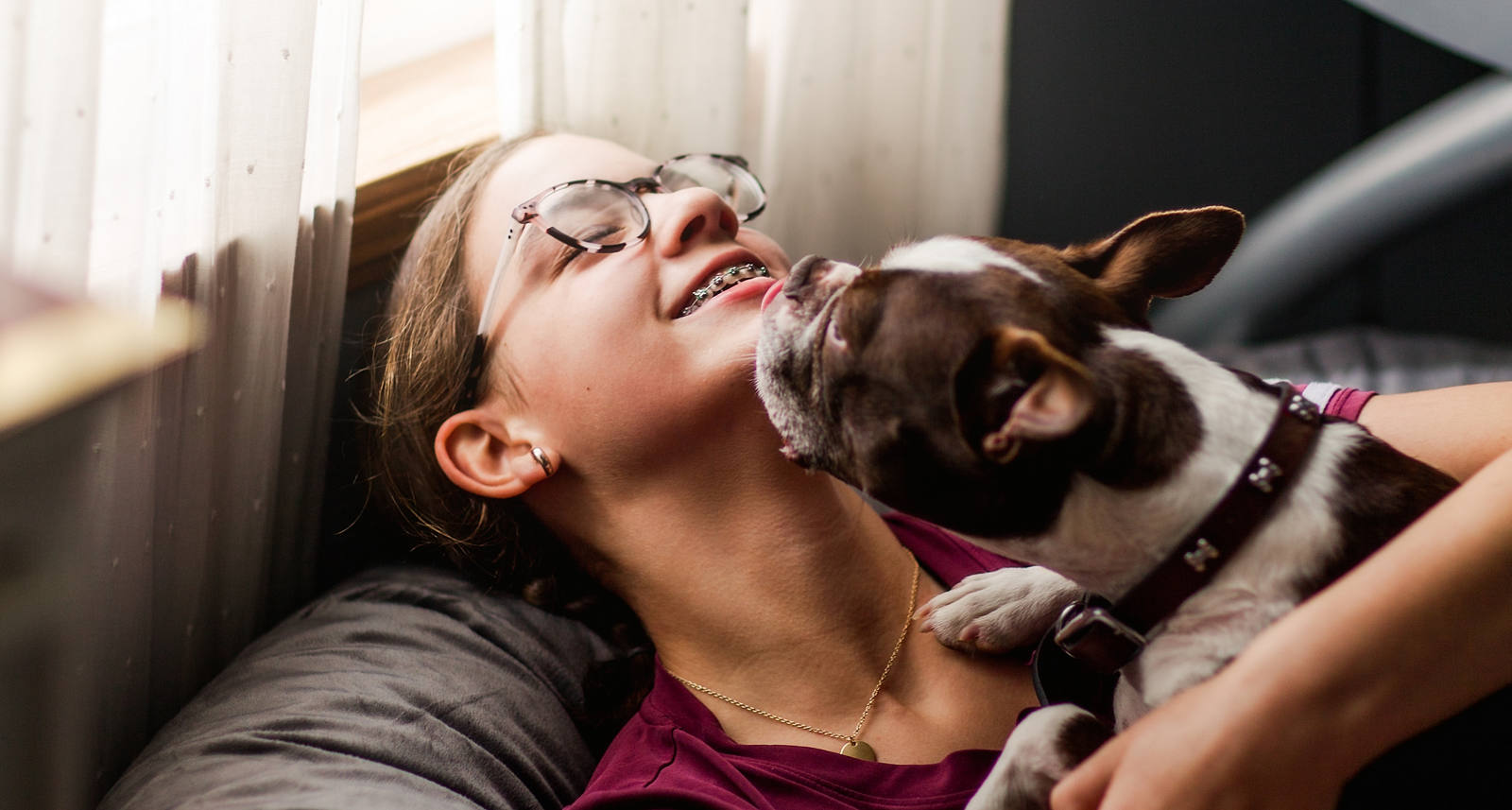 do-dogs-ever-need-braces