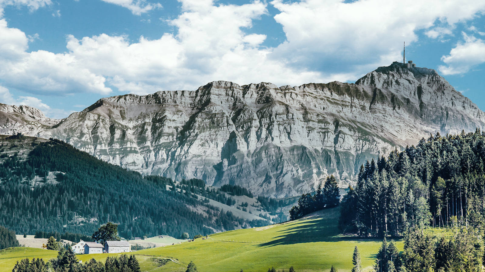 Hallo Appenzeller.