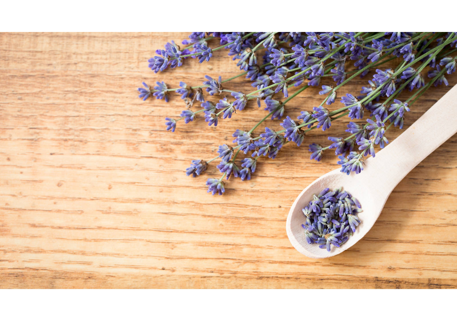 Lavendeltee gegen Kopfschmerzen. Unser Hausmittel Tipp