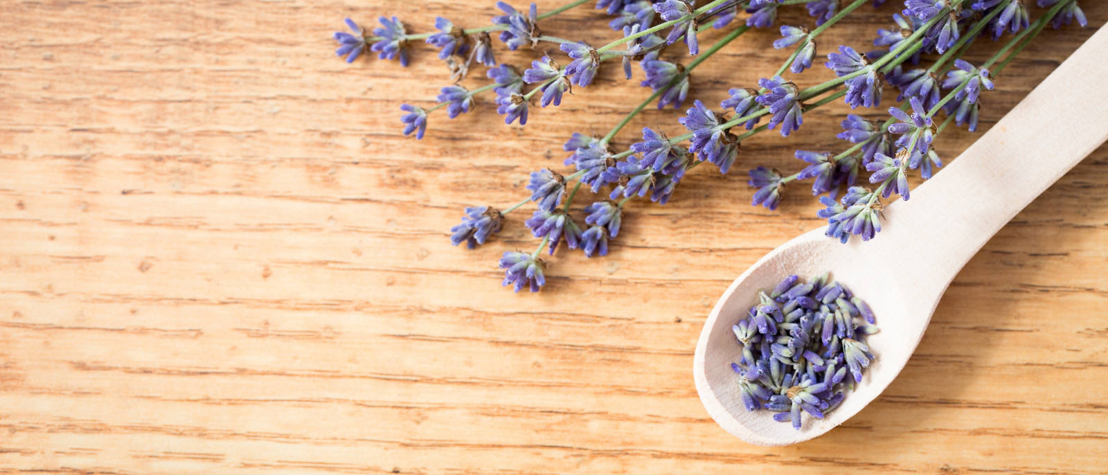 Lavendeltee gegen Kopfschmerzen. Unser Hausmittel Tipp