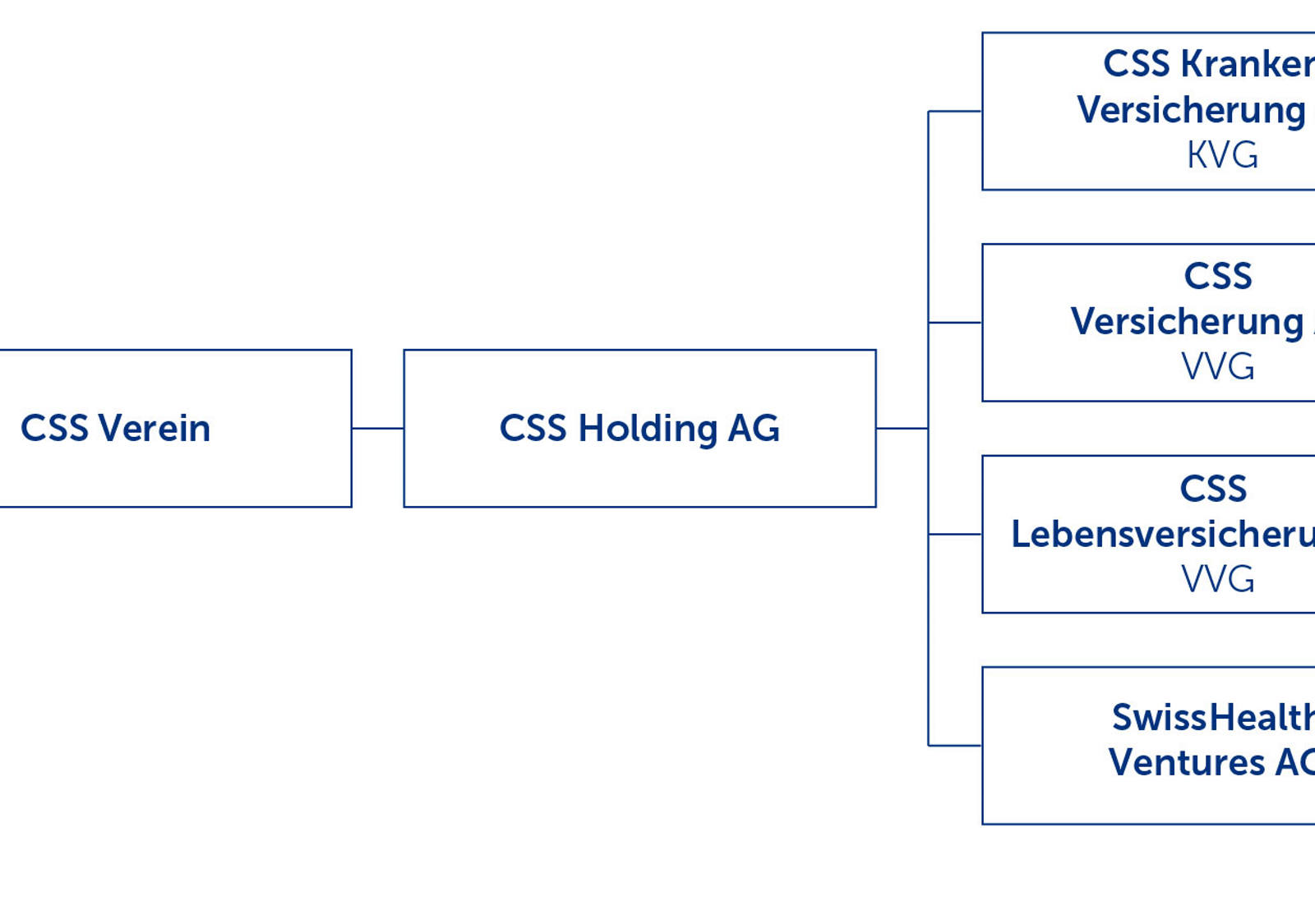 Organigramm der CSS Gruppe