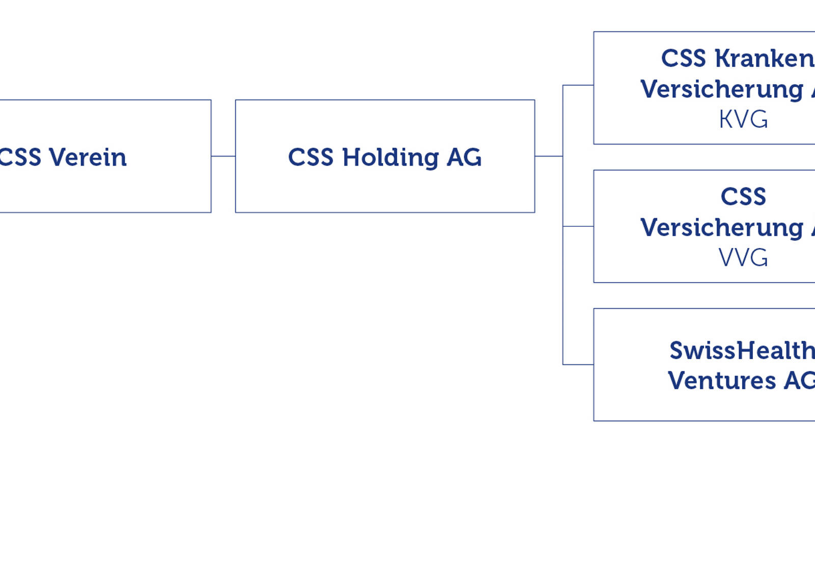 Organigramm der CSS Gruppe