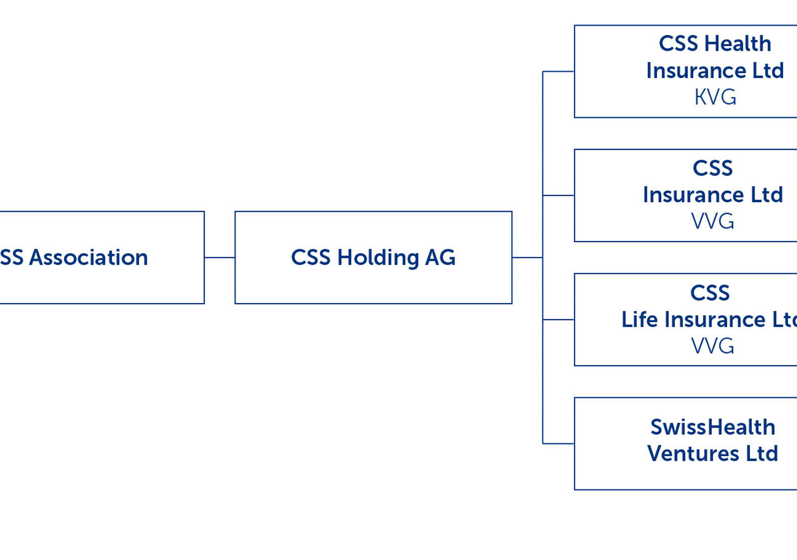 Organisation chart of the CSS Group