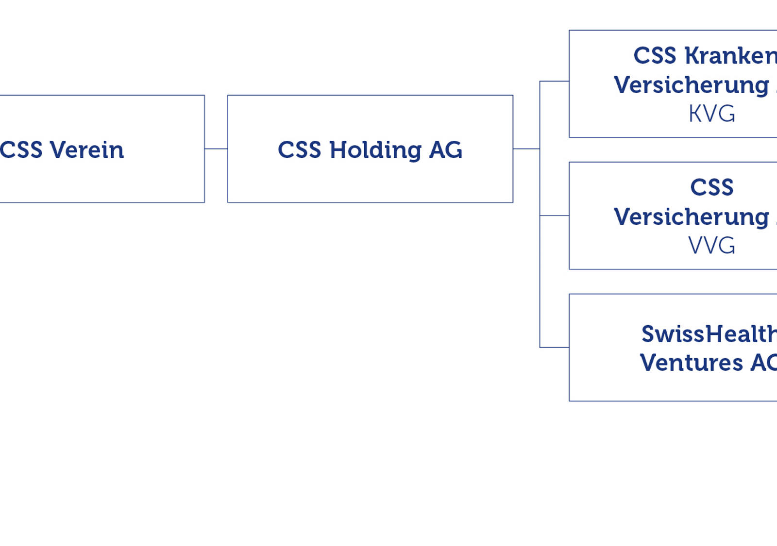 Organisation chart of the CSS Group