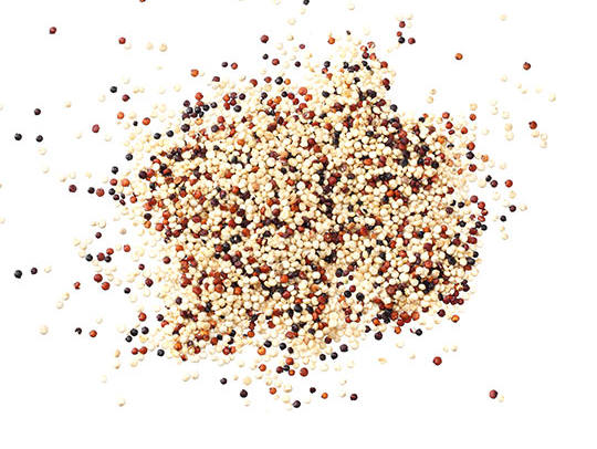 pflanzliche-proteine-quinoa.jpg