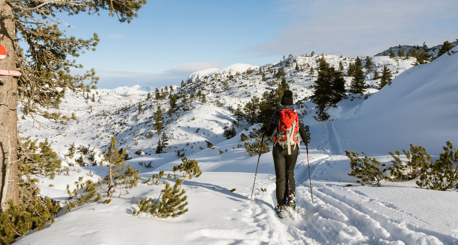 A person walks through the winter landscape with snowshoes.