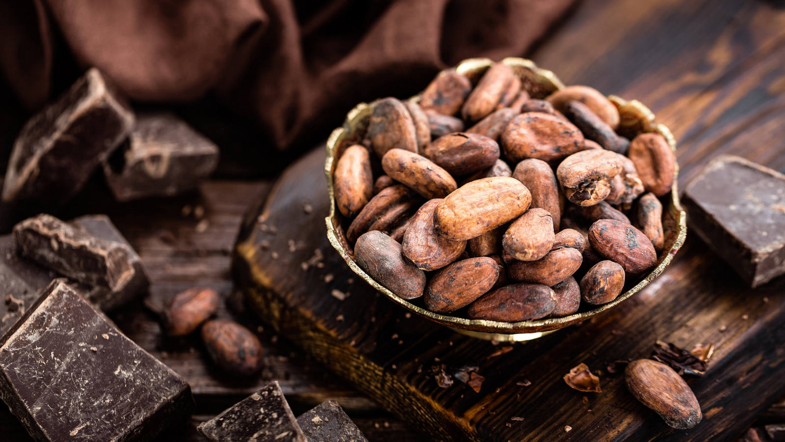 Eine Versuchung wert: Selbstgemachte Schokolade aus Kakaobohnen