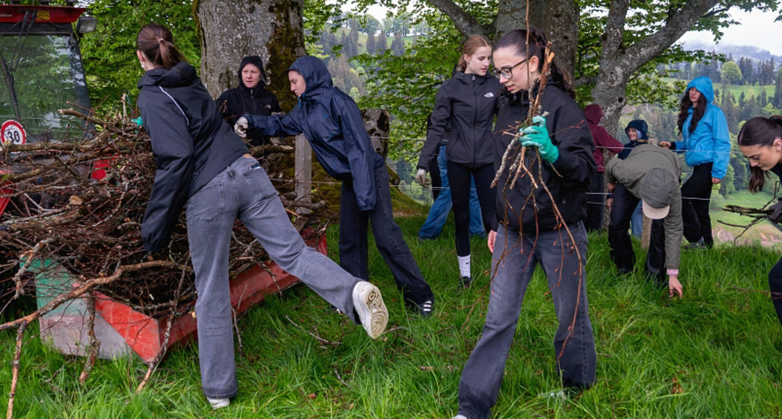 Gli allievi raccolgono rami su un prato e li mettono nel trattore.