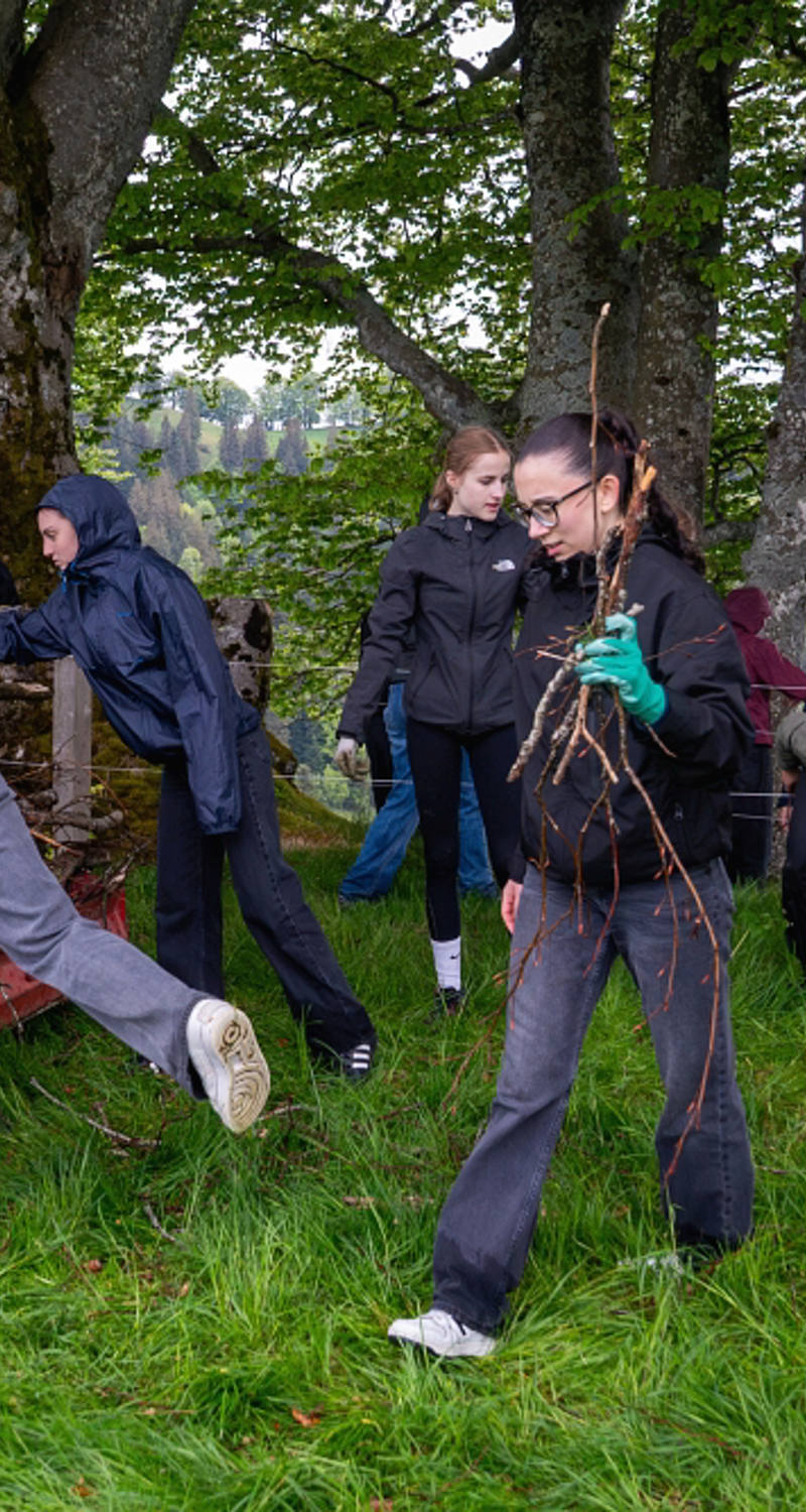 Les apprentis ramassent des branches dans une prairie et les placent dans un tracteur.